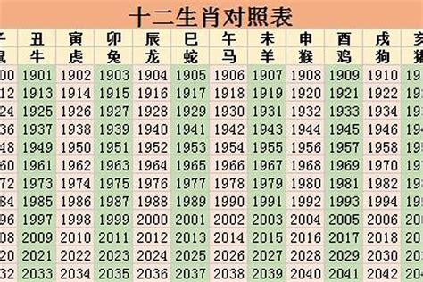 91年属什么的